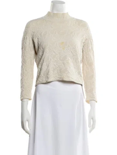 Pre-owned Alexander Wang Turtleneck Sweater In Neutral