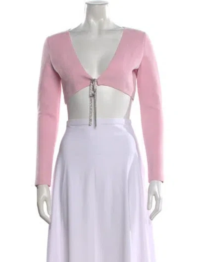 Pre-owned Alexander Wang V-neck Long Sleeve Crop Top W/ Tags In Neutral
