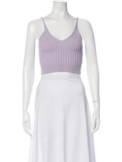 Pre-owned Alexander Wang V-neck Sleeveless Crop Top In Purple