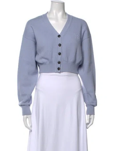 Pre-owned Alexander Wang V-neck Sweater In Blue