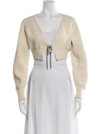 Pre-owned Alexander Wang V-neck Sweater In Neutrals