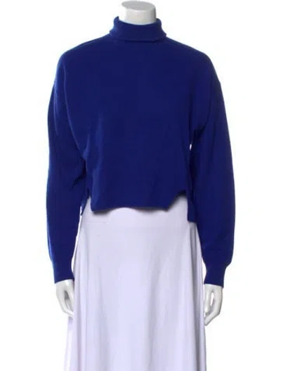 Pre-owned Alexander Wang Wool Turtleneck Sweater In Blue