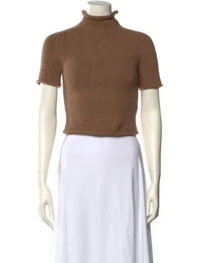Pre-owned Alexander Wang Wool Turtleneck Sweater In Brown