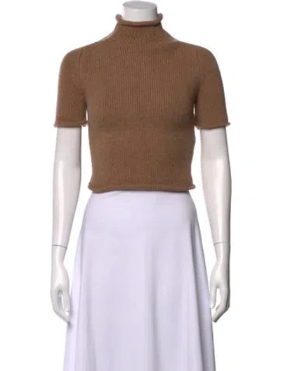 Pre-owned Alexander Wang Wool Turtleneck Sweater In Brown