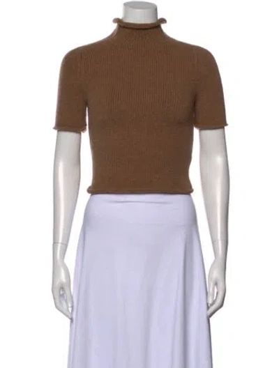 Pre-owned Alexander Wang Wool Turtleneck Sweater In Neutral