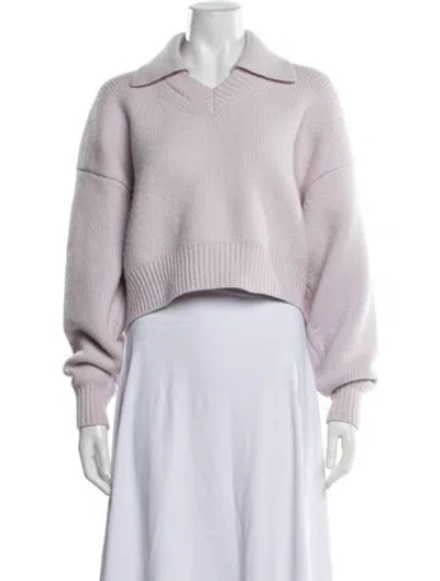 Pre-owned Alexander Wang Wool V-neck Sweater In Purple