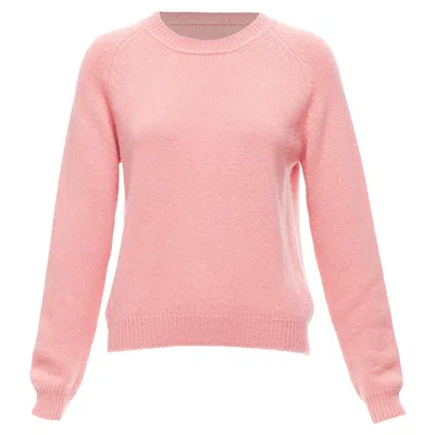 Alexandra Golovanoff Tricot Parisiens Cashmere Long Sleeve Sweater In Purple