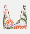 Alexandra Miro Bedrucktes Bikini-oberteil Kamala In Bird Of Paradise Print