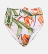 Alexandra Miro Ursula Bikini Bottoms In Bird Of Paradise Print