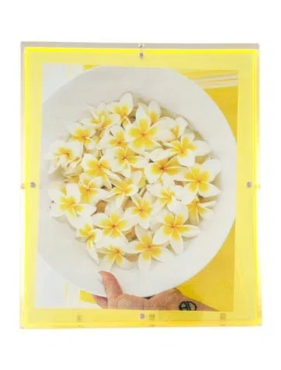 Pre-owned Alexandra Von Furstenberg Rectangle Snap Large Picture Frame