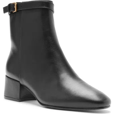 Alexandre Birman Candance Bootie In Black