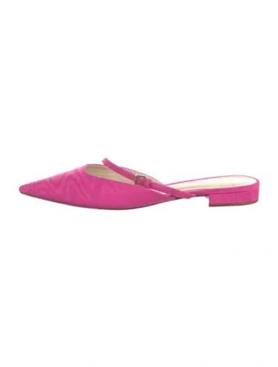 Pre-owned Alexandre Birman Canvas Mules In Pink