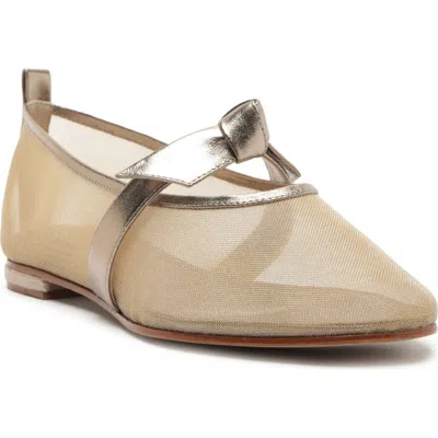 Alexandre Birman Clarita Ballerina Mary Jane Flat In Brown