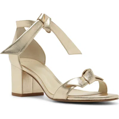 Alexandre Birman Clarita Block Heel Sandal In Multi