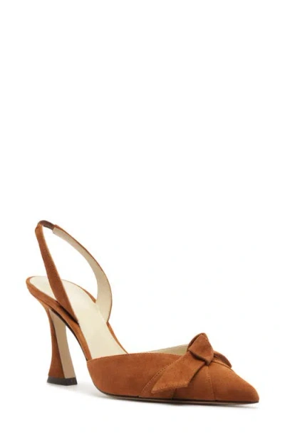 Alexandre Birman Clarita Pointed Toe Slingback Pump In Multi