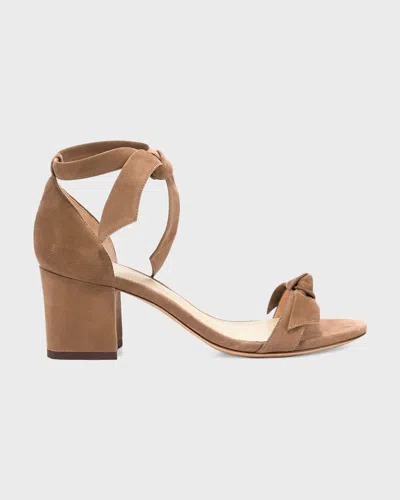 Alexandre Birman Clarita Suede Block-heel Sandals In Brown