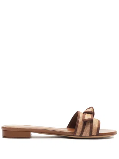 Alexandre Birman Grosgrain-trim Raffia Mules In Espressodark Brown