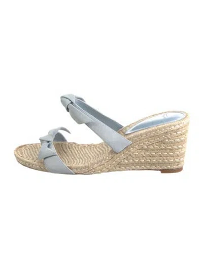 Pre-owned Alexandre Birman Leather Espadrilles In Blue