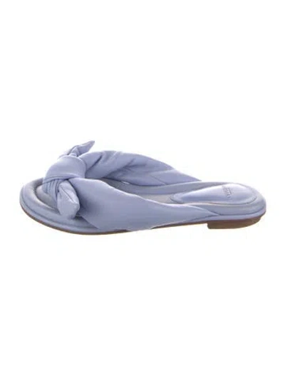 Pre-owned Alexandre Birman Leather Floral Print Slides In Blue