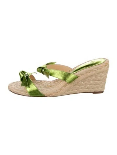 Pre-owned Alexandre Birman Leather Printed Espadrilles In Green