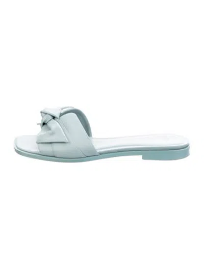 Pre-owned Alexandre Birman Leather Slides In Blue
