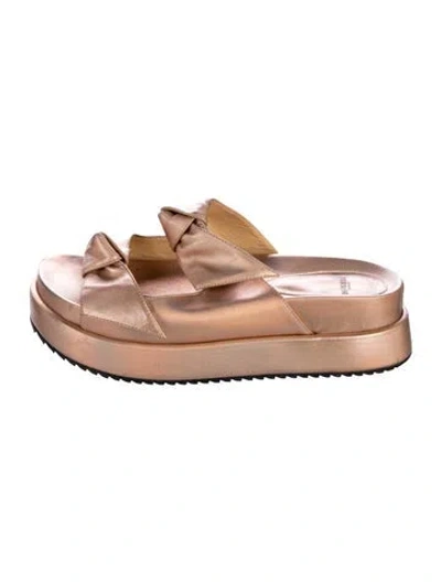 Pre-owned Alexandre Birman Leather Slides In Orange