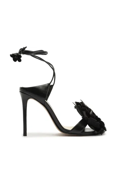 Alexandre Birman Moda Operandi In Black