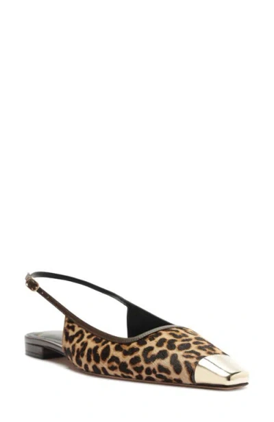 Alexandre Birman Olivia Genuine Calf Hair Cap Toe Slingback Flat In Testa Di Moro