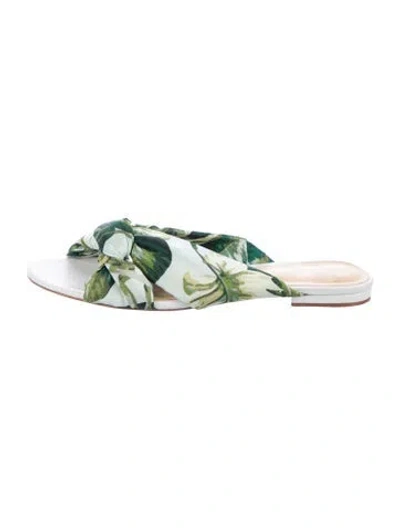 Pre-owned Alexandre Birman Printed Slides In Green