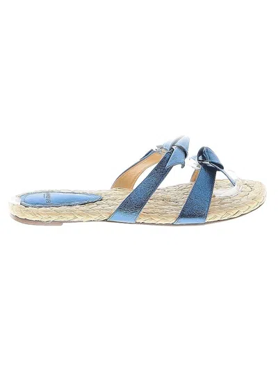 Pre-owned Alexandre Birman Sandals In Blue