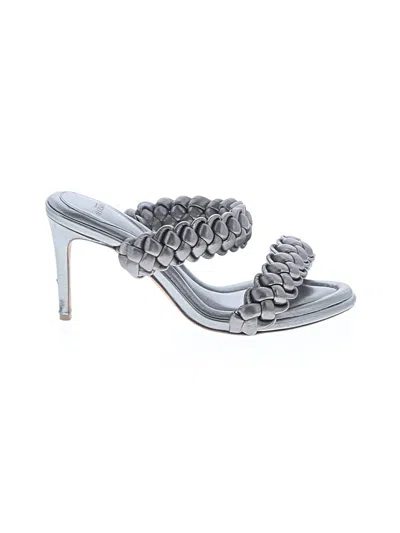 Pre-owned Alexandre Birman Sandals In Silver