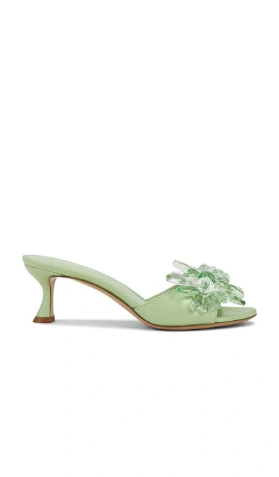 ALEXANDRE BIRMAN SIERRA 60 SANDAL