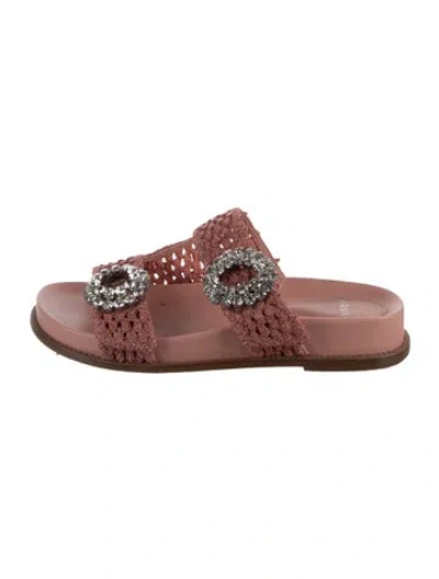 Pre-owned Alexandre Birman Slides In Pink