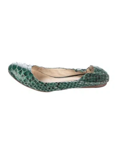 Pre-owned Alexandre Birman Snakeskin Animal Print Ballet Flats In Green