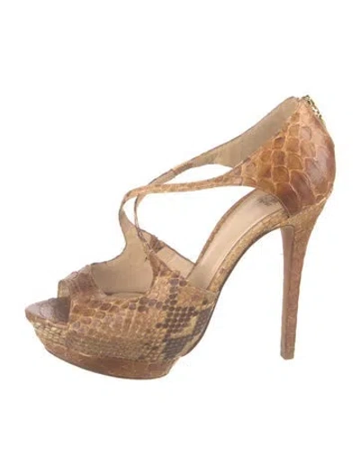 Pre-owned Alexandre Birman Snakeskin Animal Print Pumps In Brown