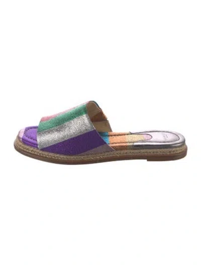 Pre-owned Alexandre Birman Striped Slides In Purple