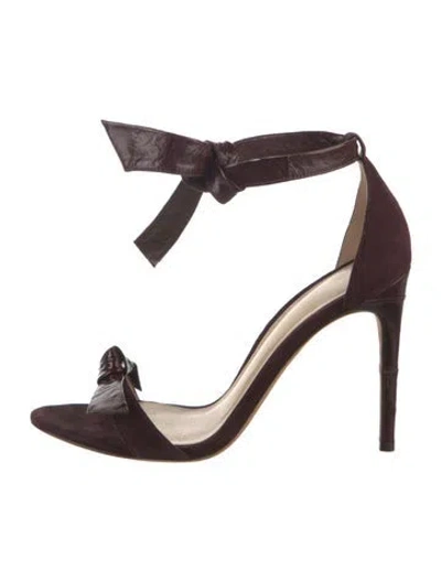 Pre-owned Alexandre Birman Suede Bow Accents Pumps In Burgundy