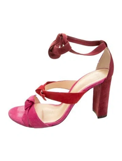 Pre-owned Alexandre Birman Suede Bow Accents Sandals In Pink/red