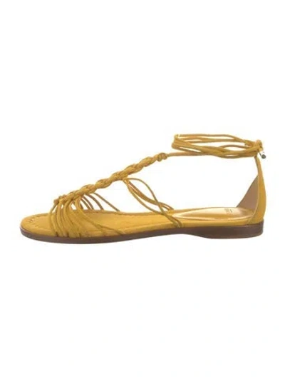 Pre-owned Alexandre Birman Suede Braided Accents Sandals In Yellow