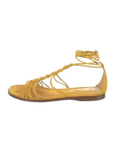 Pre-owned Alexandre Birman Suede Braided Accents Sandals In Yellow