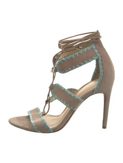 Pre-owned Alexandre Birman Suede Embroidered Accent Sandals In Blue/grey