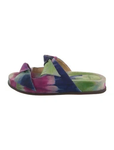 Pre-owned Alexandre Birman Suede Printed Slides In Blue