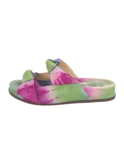 Pre-owned Alexandre Birman Suede Printed Slides In Multi