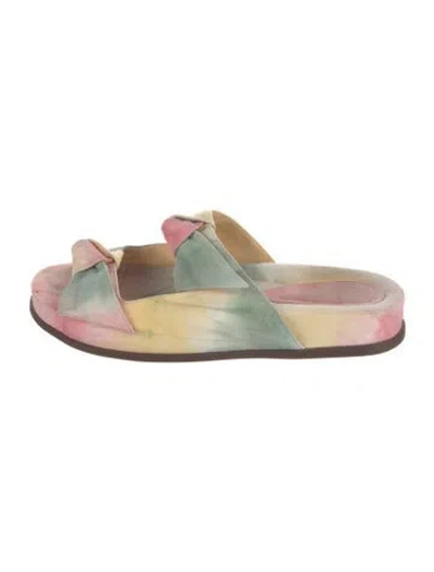 Pre-owned Alexandre Birman Suede Printed Slides In Orange