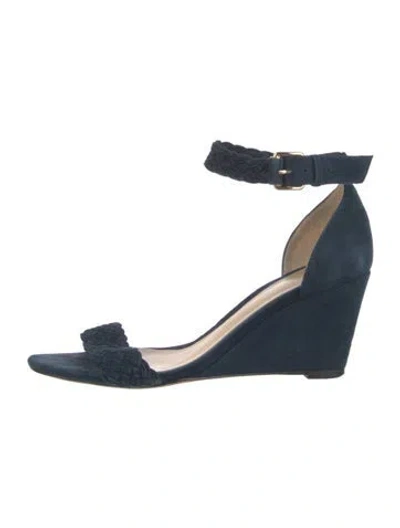 Pre-owned Alexandre Birman Suede Sandals In Blue