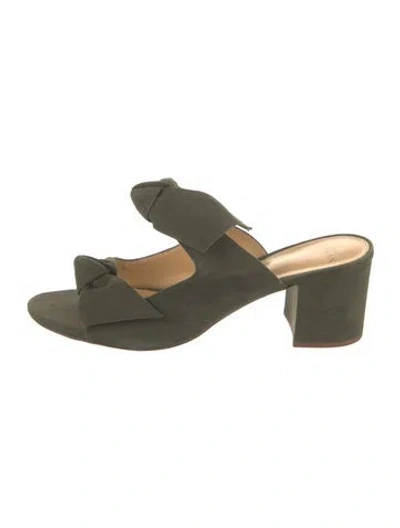 Pre-owned Alexandre Birman Suede Sandals In Green