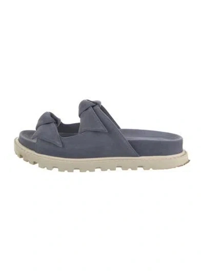 Pre-owned Alexandre Birman Suede Slides In Blue