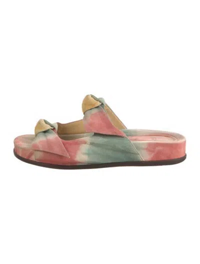 Pre-owned Alexandre Birman Suede Tie-dye Print Slides In Green/pink