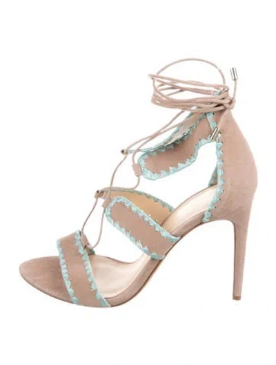 Pre-owned Alexandre Birman Suede T-strap Sandals In Gray