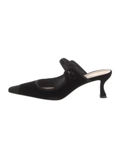 Pre-owned Alexandre Birman Velvet Mules In Black